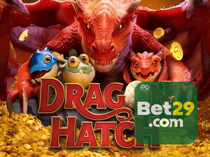 29BET PIX instantâneo Brasil - Depósito e saque em minutos 24/7